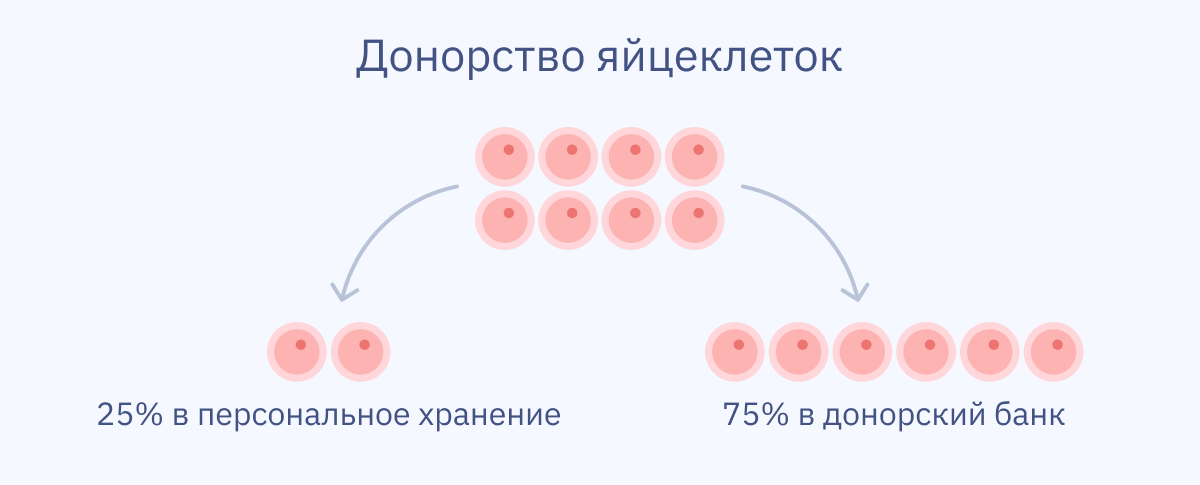 Банк Донорских Яйцеклеток В Москве С Фото